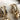 Akola goldtone hoop with raffia and pearl huggie C-hoop earrings - NextStage Vintage