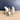 Metal cow figurines and a chicken - vintage Holstein pair and a fowl - NextStage Vintage