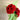 Bouquet of crochet carnations on floral picks - vintage handmade decor - NextStage Vintage