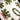 1960s Fallani & Cohn Christmas tablecloth – The Ryans – bells, holly, mistletoe, polka dots – 53" x 68" - NextStage Vintage