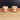 Pair of Vintage Harkerware Cock 'O Morn Coral Flat Cup and Saucers MCM USA - NextStage Vintage