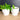 Vintage 1940s Randall milk glass planters – Set of 2 – Block pattern – white glass flower pots - NextStage Vintage