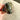 Michael Valitutti Gems En Vogue sterling and labradorite cocktail ring - NextStage Vintage