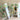 William A Meier mid century tropical monkey rocks glasses - set of 8 - 1950s vintage - NextStage Vintage