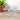 Stemmed cordial glasses - set of 8 - 1980s vintage - NextStage Vintage