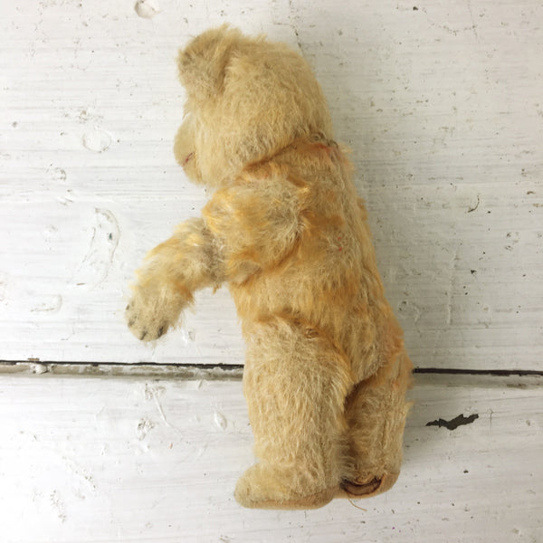 Antique 8" mohair bear - straw stuffed and jointed - turn of the century - NextStage Vintage