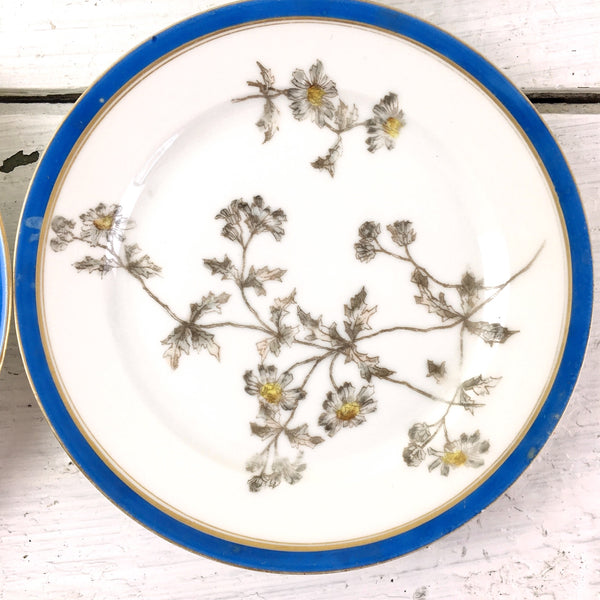 Daisy plates by CFH/GDM Haviland Limoges France - 4 1880s antique side plates - NextStage Vintage