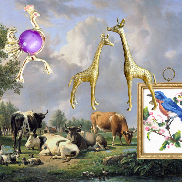 Animal Attractions