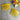 Celluloid hair combs - a pair - turn of the century vintage - NextStage Vintage