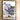 New England Patriots “3 Games to Glory I, II, III” DVDs – First 3 Championship Playoff Runs - NextStage Vintage