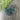 Weiss blue and green rhinestone crown - 1950s vintage - NextStage Vintage