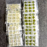 Swarovski 8mm bicone crystal beads 5301 / 5328 -  96 pc - olivine, color CLG(001) - NextStage Vintage