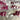 8mm round crystal beads - Swarovski? - 96 pcs - pinks and reds - NextStage Vintage
