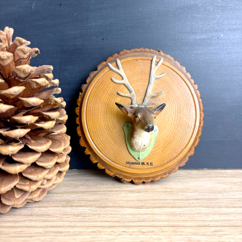 Adirondack Mountains souvenir plaque – rustic wood slice with cast metal deer head