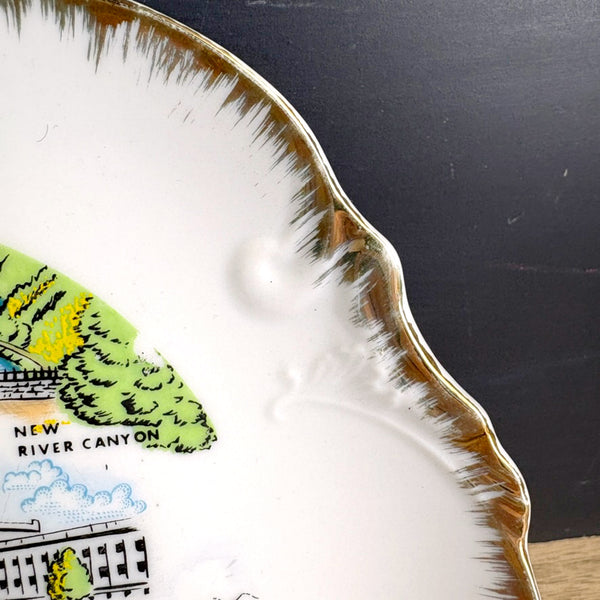 1960s vintage West Virginia souvenir plate –  8" decorative collectible