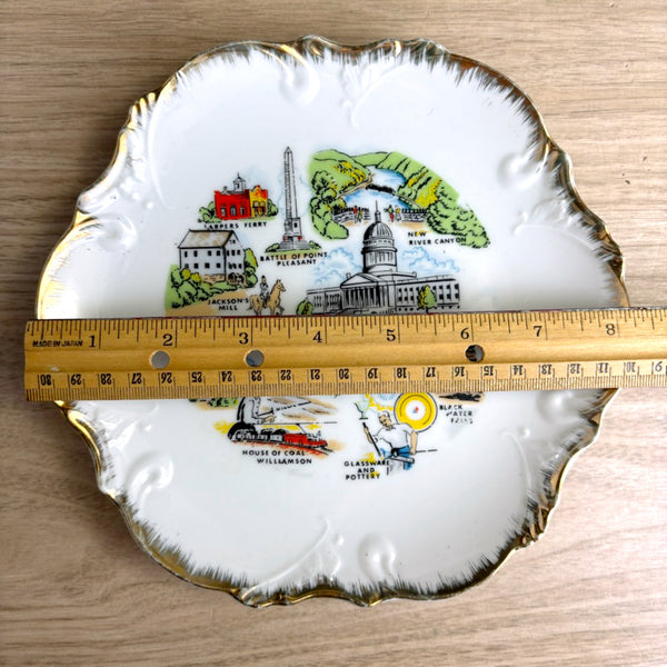 1960s vintage West Virginia souvenir plate –  8" decorative collectible