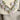 Dallas Prince Designs gold vermeil and quartz heart necklace - NextStage Vintage