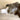 Hagen Renaker Designers' Workshop baby elephant - Pasha - 1950s vintage - NextStage Vintage