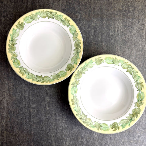 Hudson Valley by Block 8 3/4" rim soup bowl - set of 2 - discontinued pattern
