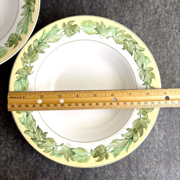 Hudson Valley by Block 8 3/4" rim soup bowl - set of 2 - discontinued pattern