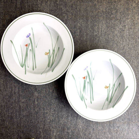 Bob Van Allen for Mikasa Metro Sketch Book 9" rim soup bowls - set of 2 - discontinued pattern - NextStage Vintage