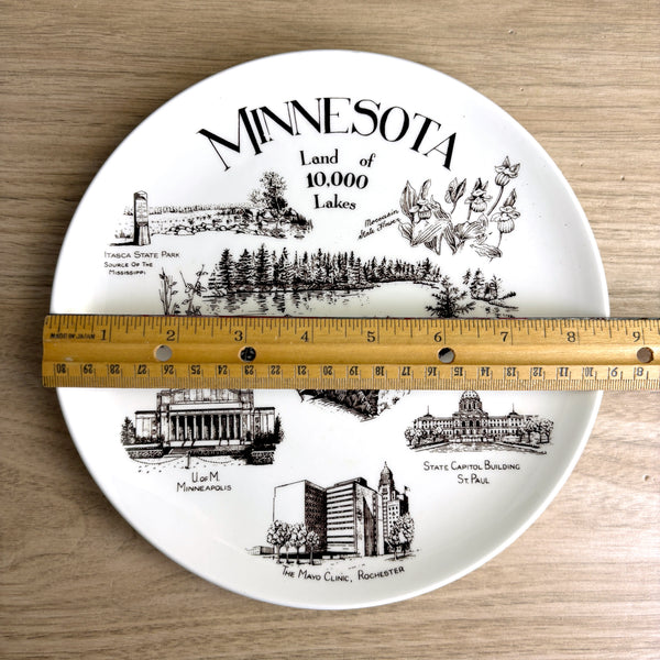 Vintage 1960s Minnesota souvenir plate – Coyne’s of England brown transferware - NextStage Vintage