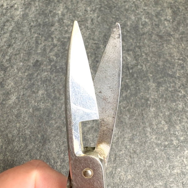 R. Heinisch buttonhole scissors with original set screw - antique - NextStage Vintage