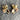 Alexis Bittar goldtone and crystal tulip stud pierced earrings - NextStage Vintage