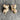 Alexis Bittar goldtone and crystal tulip stud pierced earrings - NextStage Vintage