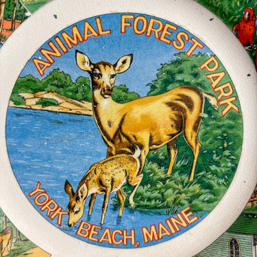 Vintage Animal Forest Park Souvenir Plate, York Beach Maine, York's Wild Kingdom, 1950s Road Trip Decor
