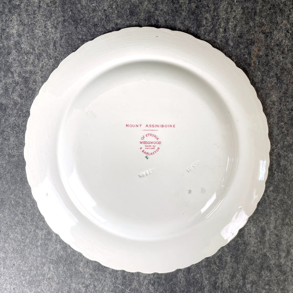 Wedgwood Mount Assiniboine skiing decorative plate - NextStage Vintage