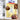 The Best of Bisquick and Pillsbury Bake-Off Grand Prize Winners - 2 vintage recipe booklets - NextStage Vintage