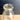 B.J. Reilly Dairy milk bottle - vintage kitchen decor - How Good Can Eggs Be graphic - NextStage Vintage