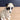 Big Sky Carvers Dogtivity II Border Collie Sheep figurine - NextStage Vintage