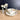 Paragon Canada footed teacup & saucer – provincial coats of arms and old maple leaves - NextStage Vintage