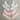 Vintage 1950s Detachable Collars and Cuffs Lot - Lace Organdy Satin Pearls Ben Goodman - White Pink - NextStage Vintage