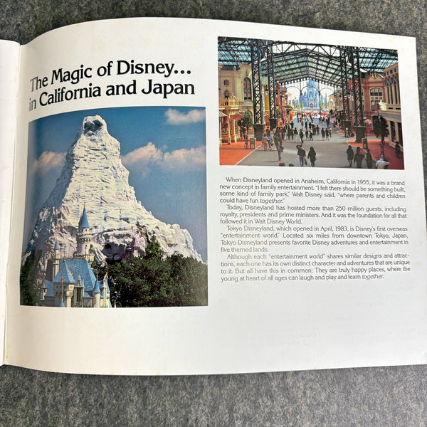 1990s Pictorial Souvenir of Walt Disney World - vintage Disney ephemera