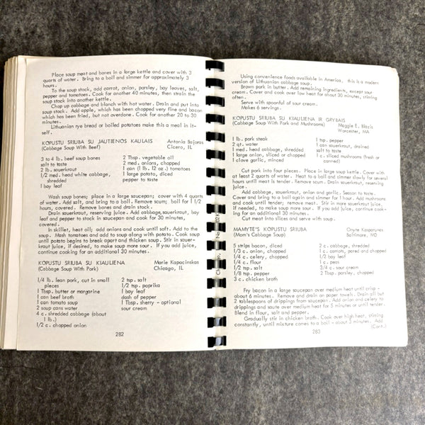 Family Favorites From Our Best Cooks - American Lithuanian Roman Catholic Women's Alliance - 1982 - NextStage Vintage