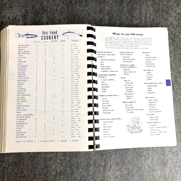 Family Favorites From Our Best Cooks - American Lithuanian Roman Catholic Women's Alliance - 1982 - NextStage Vintage