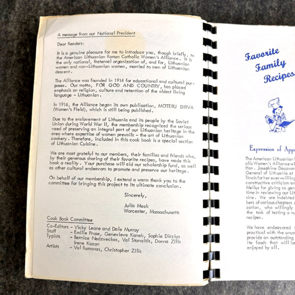 Family Favorites From Our Best Cooks - American Lithuanian Roman Catholic Women's Alliance - 1982 - NextStage Vintage