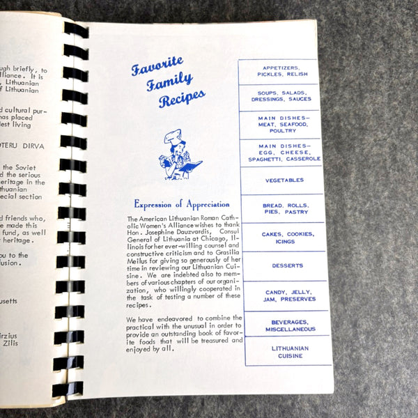 Family Favorites From Our Best Cooks - American Lithuanian Roman Catholic Women's Alliance - 1982 - NextStage Vintage