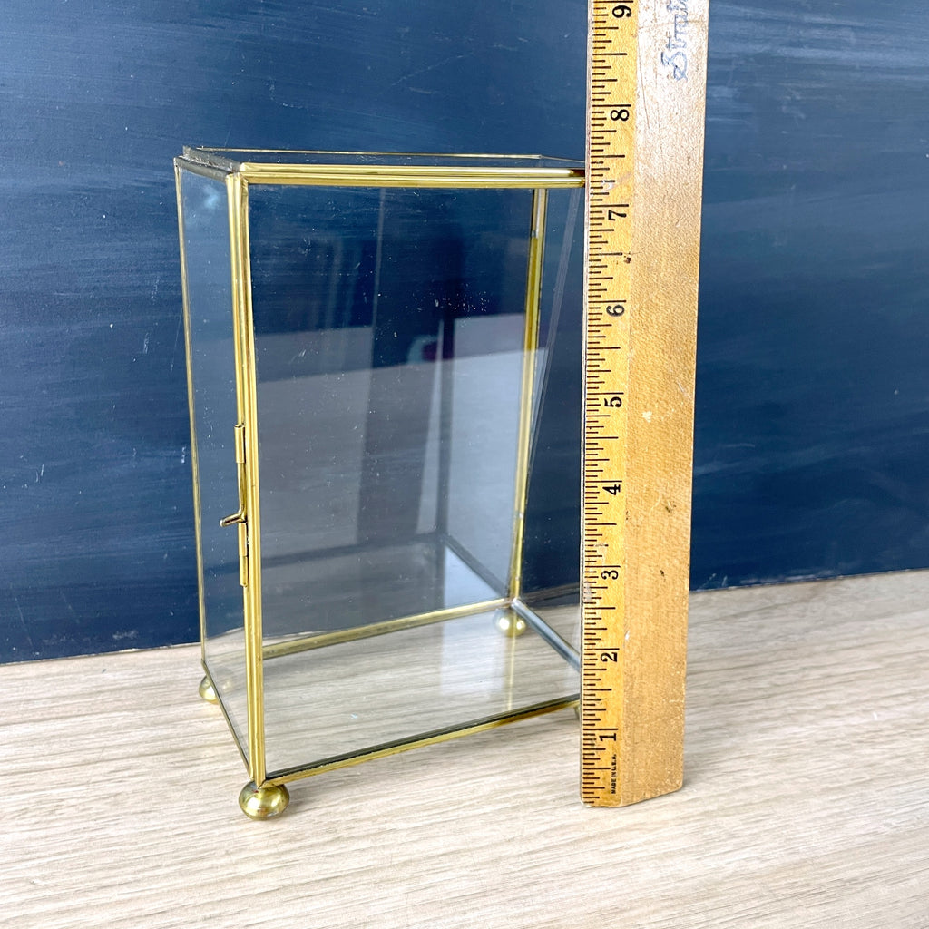 Brass and glass curio display case vintage storage NextStage Vintage
