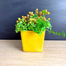 Haeger speckled mustard yellow square pottery planter #3716 - vintage 1980s pottery USA - NextStage Vintage