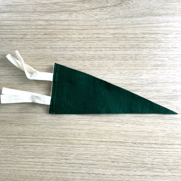 Lake Erie College miniature pennant - vintage college souvenir - NextStage Vintage