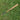 1946-1949 Ted Williams Louisville Slugger 125 Store Model Bat 35" Cracked