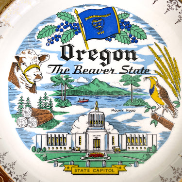 Oregon state souvenir plate - 1960s road trip souvenir - NextStage Vintage