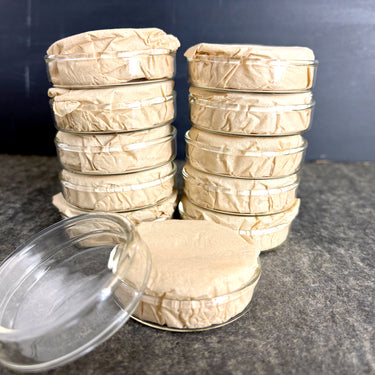 Vintage Petri Dishes with Lids – Set of 12 Borosilicate Glass Labware – Industrial Scientific Decor - NextStage Vintage