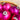 Pink and silver Christmas balls, garland, berries, incl Shiny Brite- set of 18 - vintage 50s 60s - NextStage Vintage