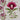 Birds of a Feather Pink Floral needlepoint canvas #BF516 - NextStage Vintage