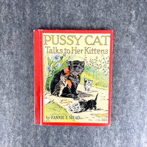 Pussy Cat Talks to Her Kittens - Fannie E. Mead - 1924 hardcover - NextStage Vintage